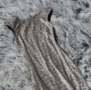 Sequin Silver Dress 👗